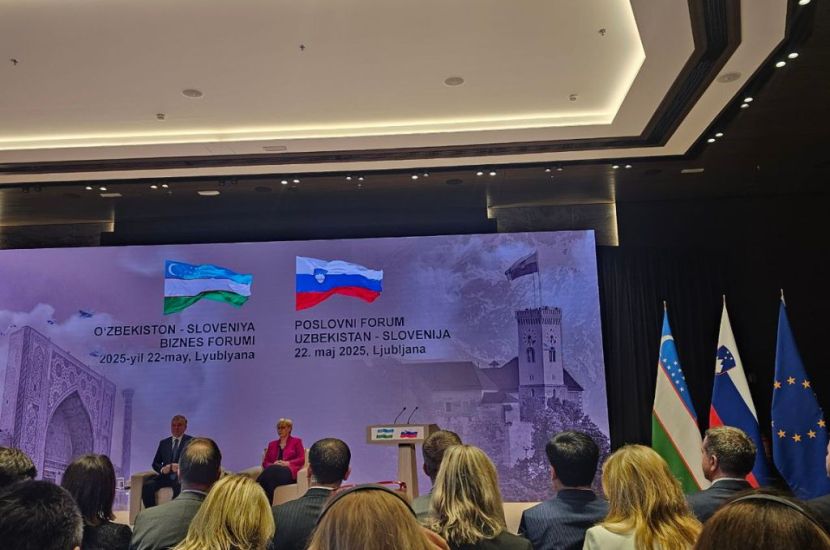 Untitled design (33)